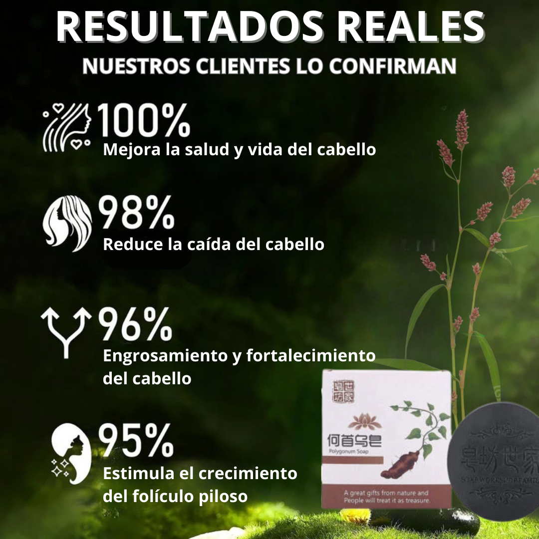 SHAMPOO EN BARRA EXTRACTO DE POLYGONUM ORIGINAL 🔥OFERTA 2X1 🤩